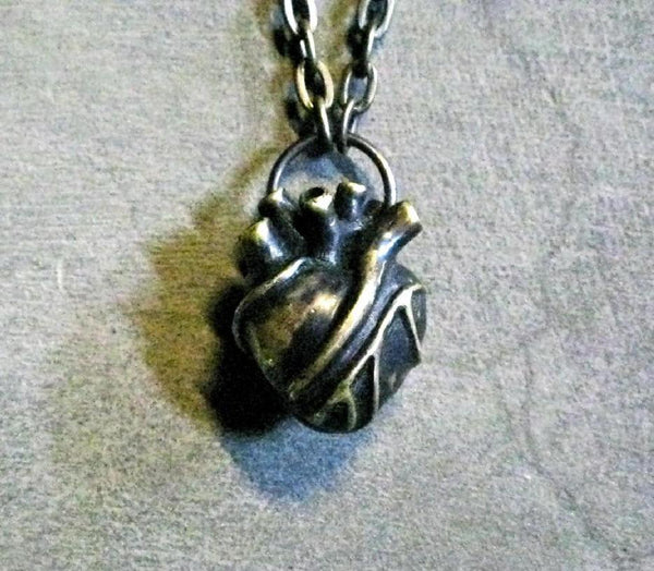 anatomical heart pendant. large brass heart. heart necklace on brass chain.
